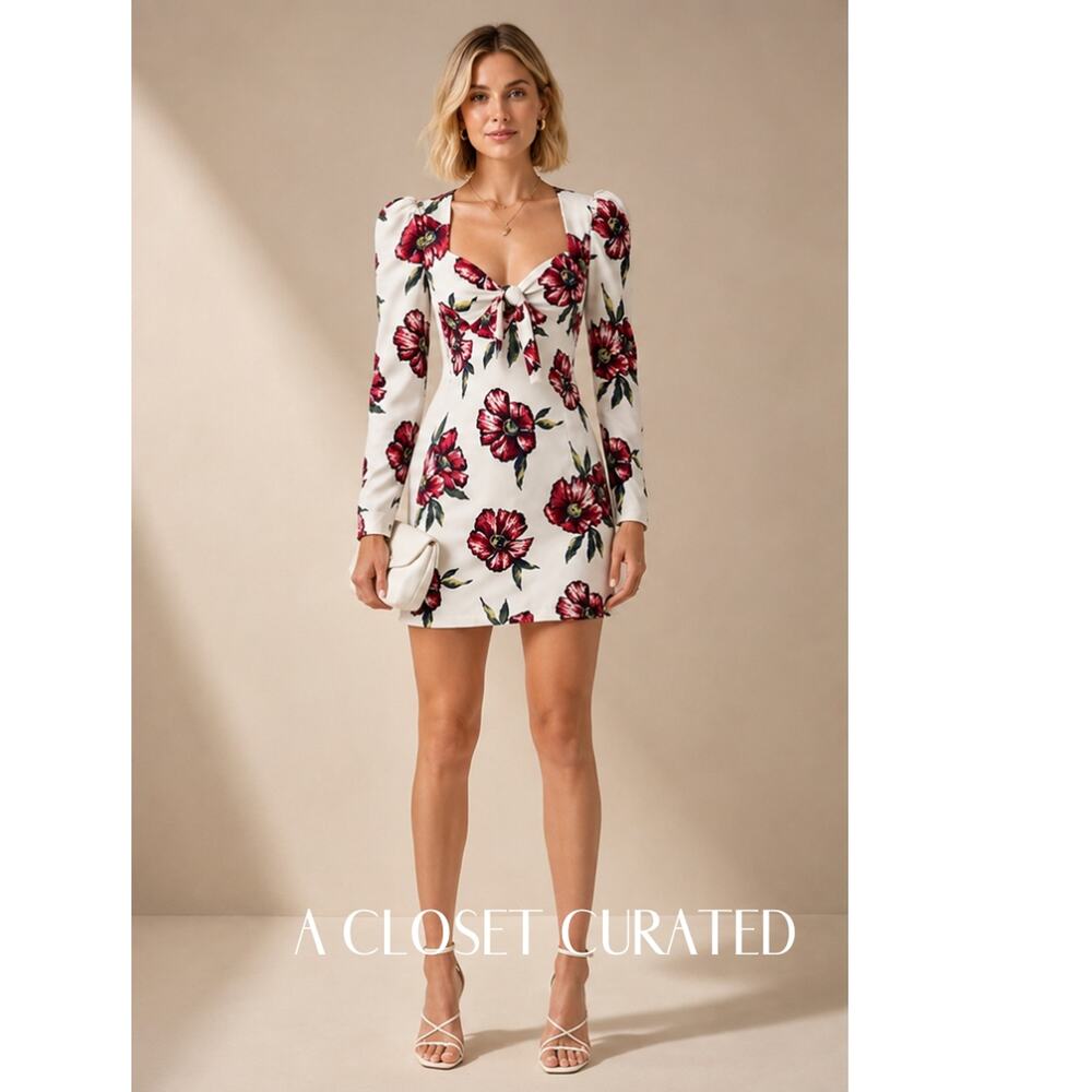 Rebecca De Ravenel Dress 0